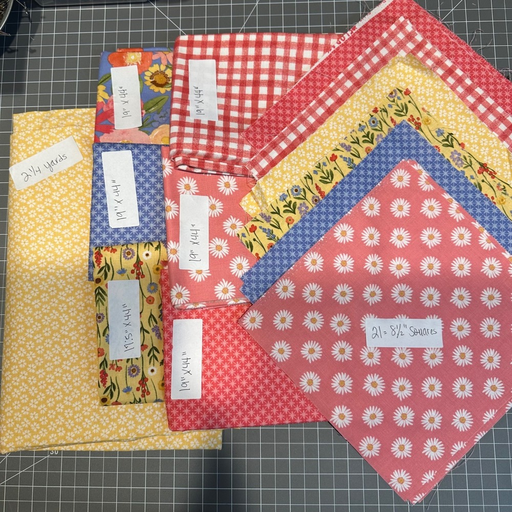 Riley Blake Flora Fabric Bundle Lot Cotton Quilting Floral Gingham 6+ Yards